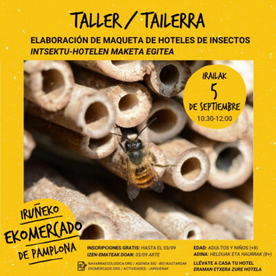 Taller de elaboración de maqueta de hoteles de insectos